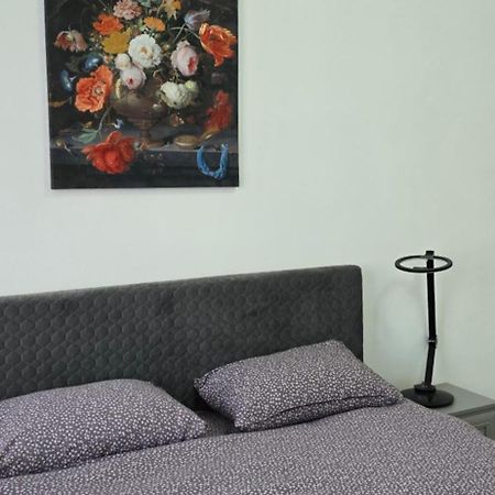 Casa Grande Leilighet Făgăraş Eksteriør bilde
